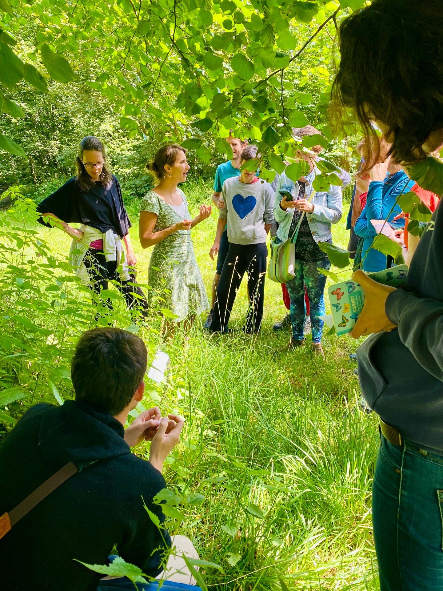 Group of people engaging in a nature walk, surrounded by lush greenery and trees.