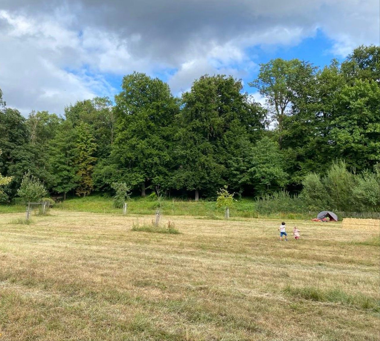 Two children walking across a grassy field towards a tent near dense green trees under a cloudy sky.